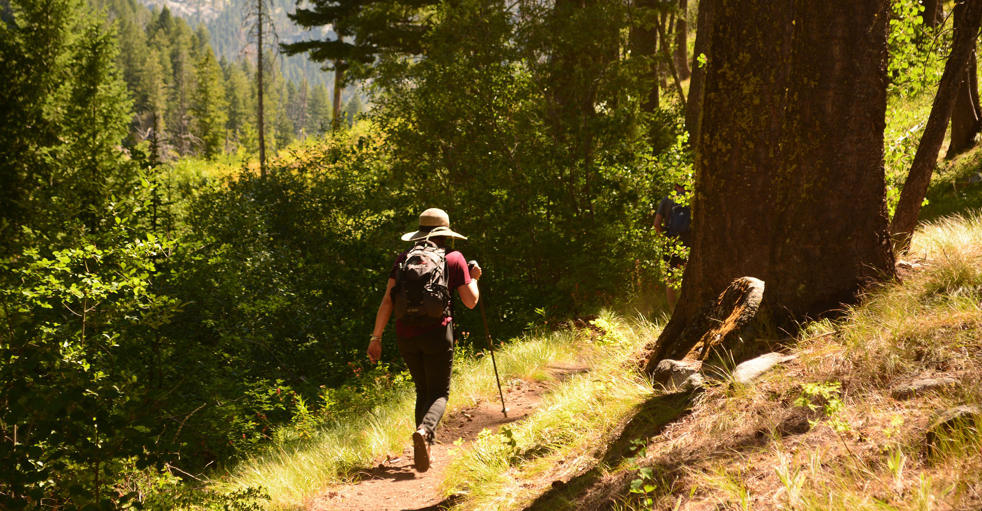 Summer vacation in the Jizera Mountains